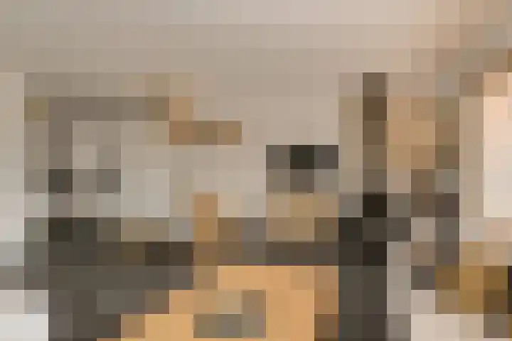 Elise van Calcarstraat 66 Breda thumbnail 4