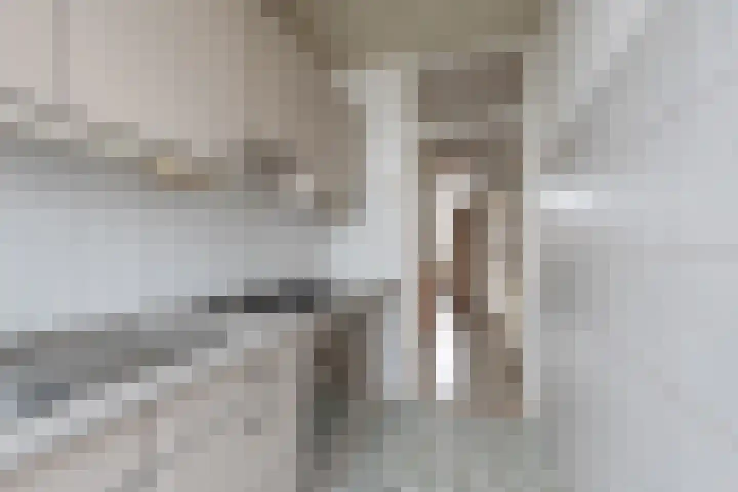 Elise van Calcarstraat 72 Den Haag thumbnail 10