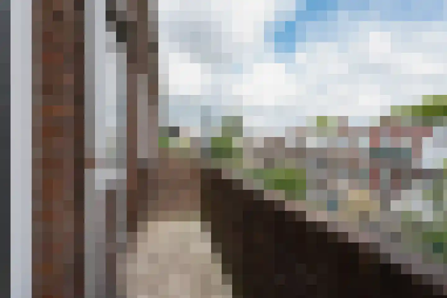 Elise van Calcarstraat 72 Den Haag thumbnail 18