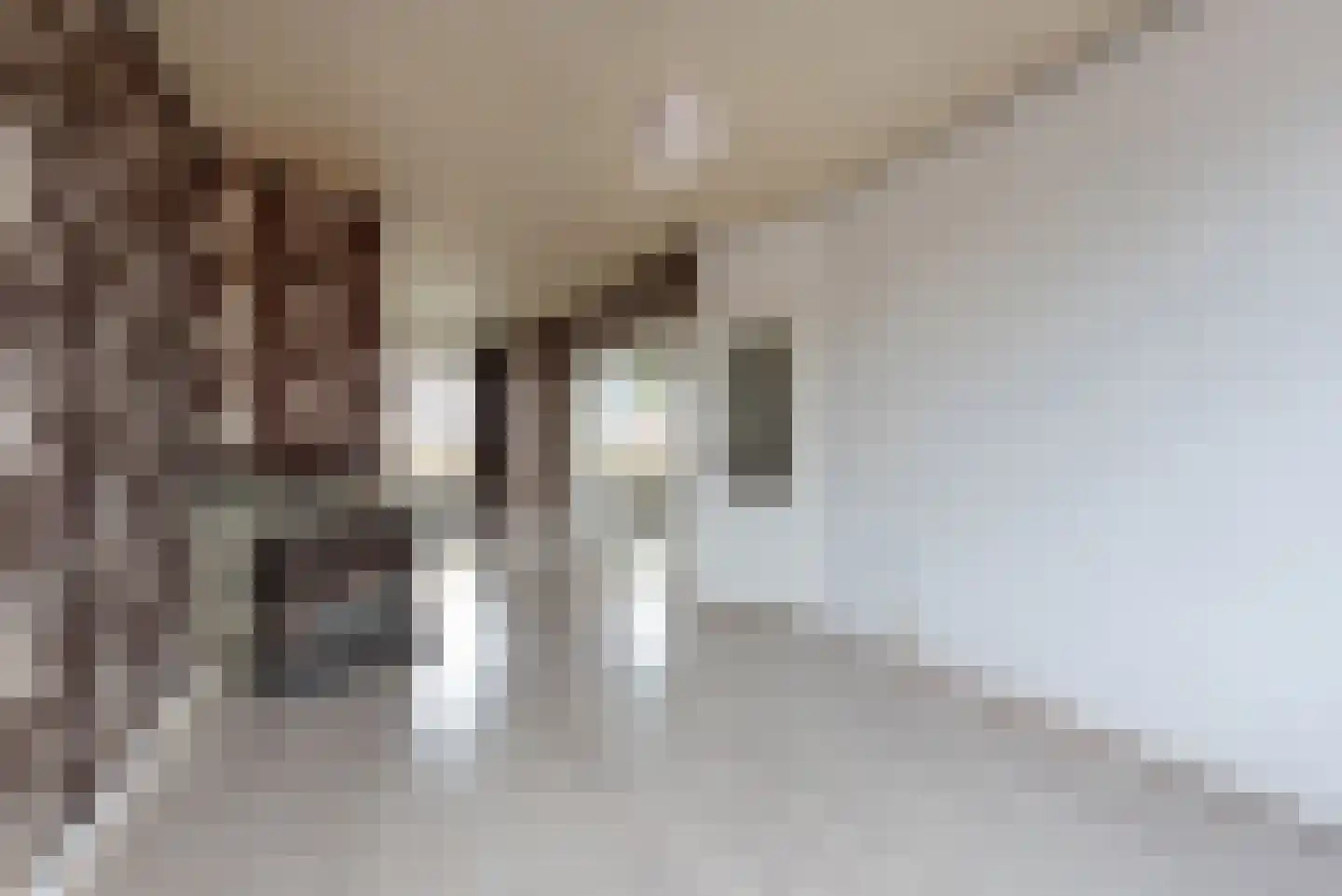 Elise van Calcarstraat 72 Den Haag thumbnail 5