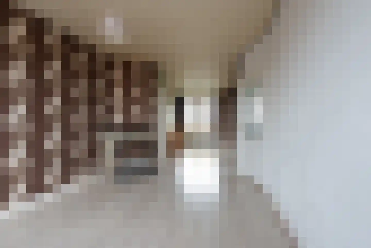 Elise van Calcarstraat 72 Den Haag thumbnail 6