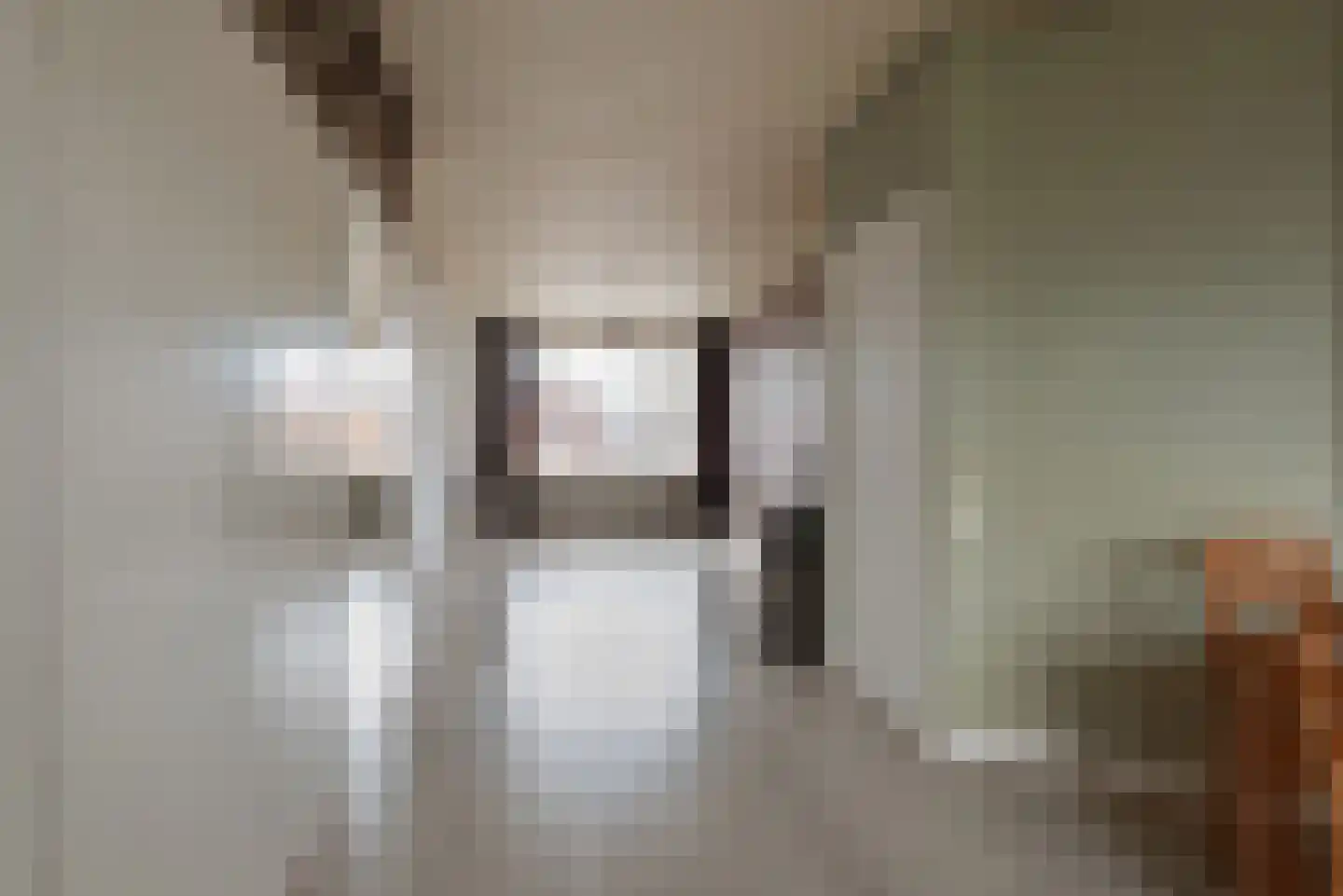 Elise van Calcarstraat 72 Den Haag thumbnail 8