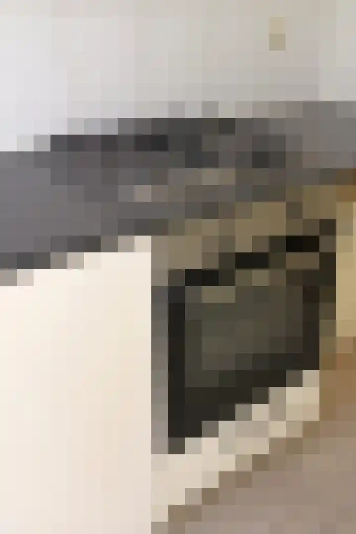 Elise van Calcarstraat 9 Den Haag thumbnail 12