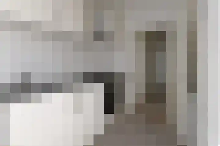 Elise van Calcarstraat 9 Den Haag thumbnail 13
