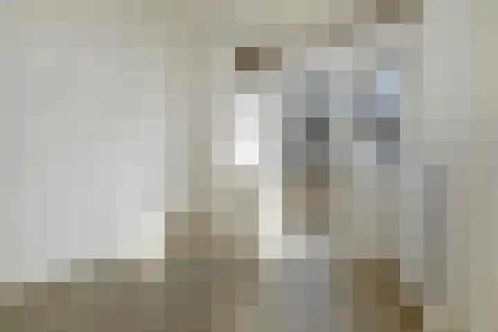 Elise van Calcarstraat 9 Den Haag thumbnail 16