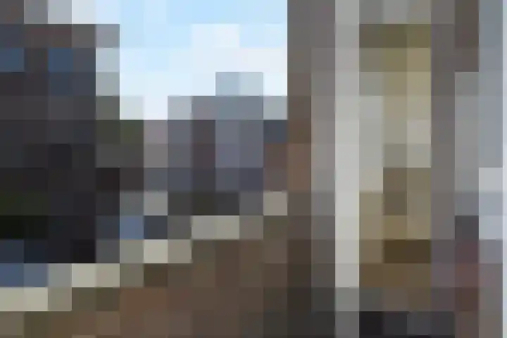 Elise van Calcarstraat 9 Den Haag thumbnail 19