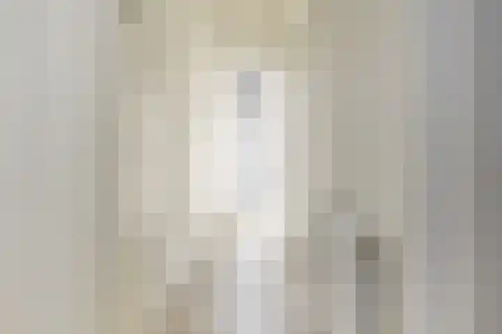Elise van Calcarstraat 9 Den Haag thumbnail 6