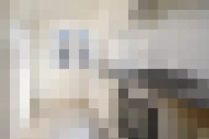 Elise van Calcarstraat 9 Den Haag thumbnail 8