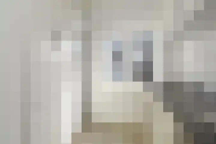 Elise van Calcarstraat 9 Den Haag thumbnail 9