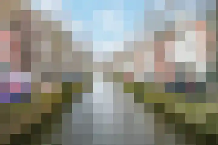 Eliza Dorusstraat 56 Delft thumbnail 30