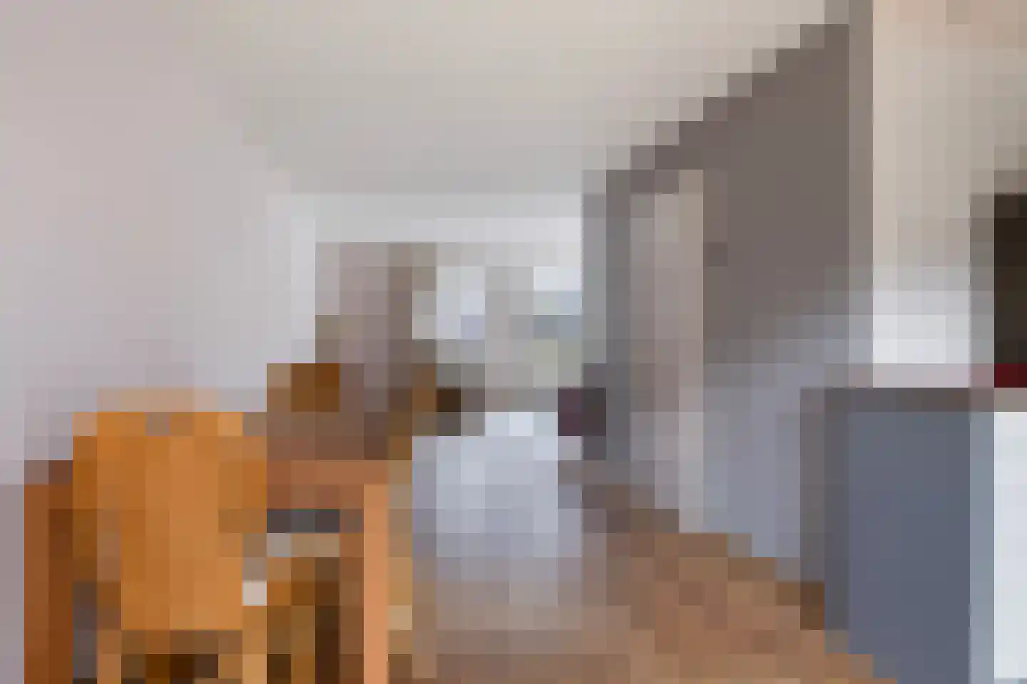 Eliza Posthumastrjitte 10 Gytsjerk thumbnail 12