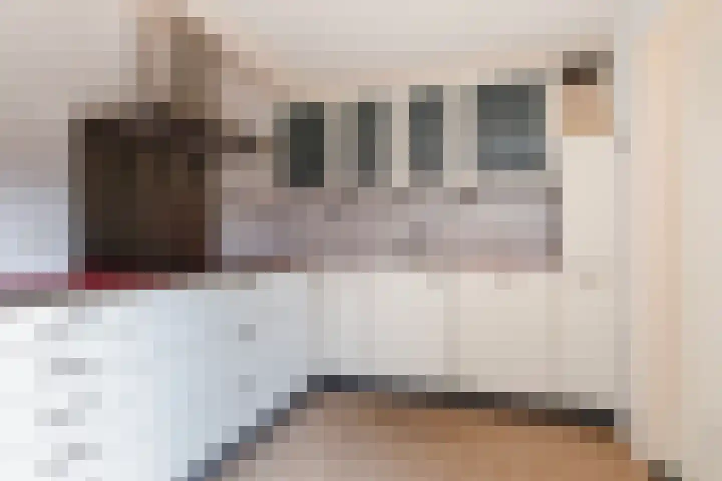 Eliza Posthumastrjitte 10 Gytsjerk thumbnail 13