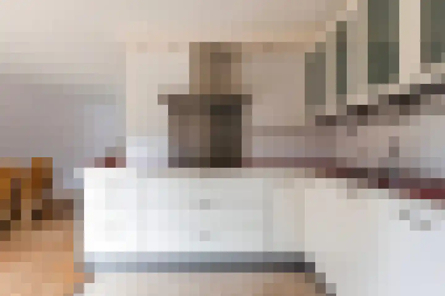 Eliza Posthumastrjitte 10 Gytsjerk thumbnail 15