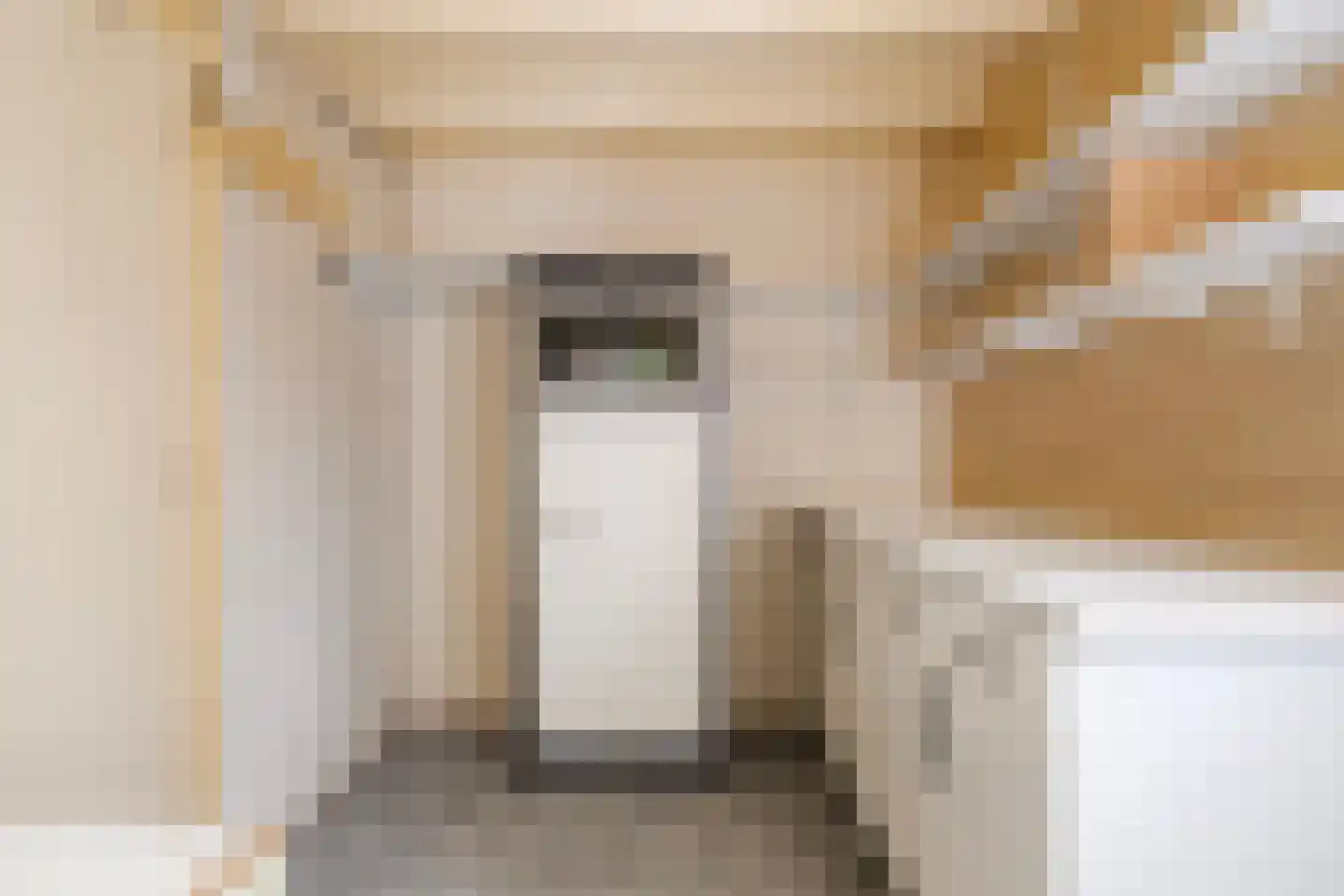 Eliza Posthumastrjitte 10 Gytsjerk thumbnail 17