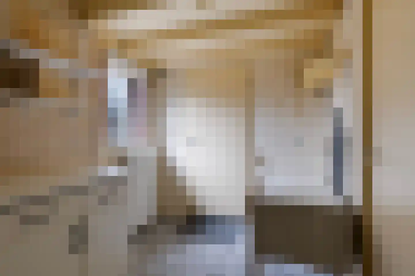 Eliza Posthumastrjitte 10 Gytsjerk thumbnail 18