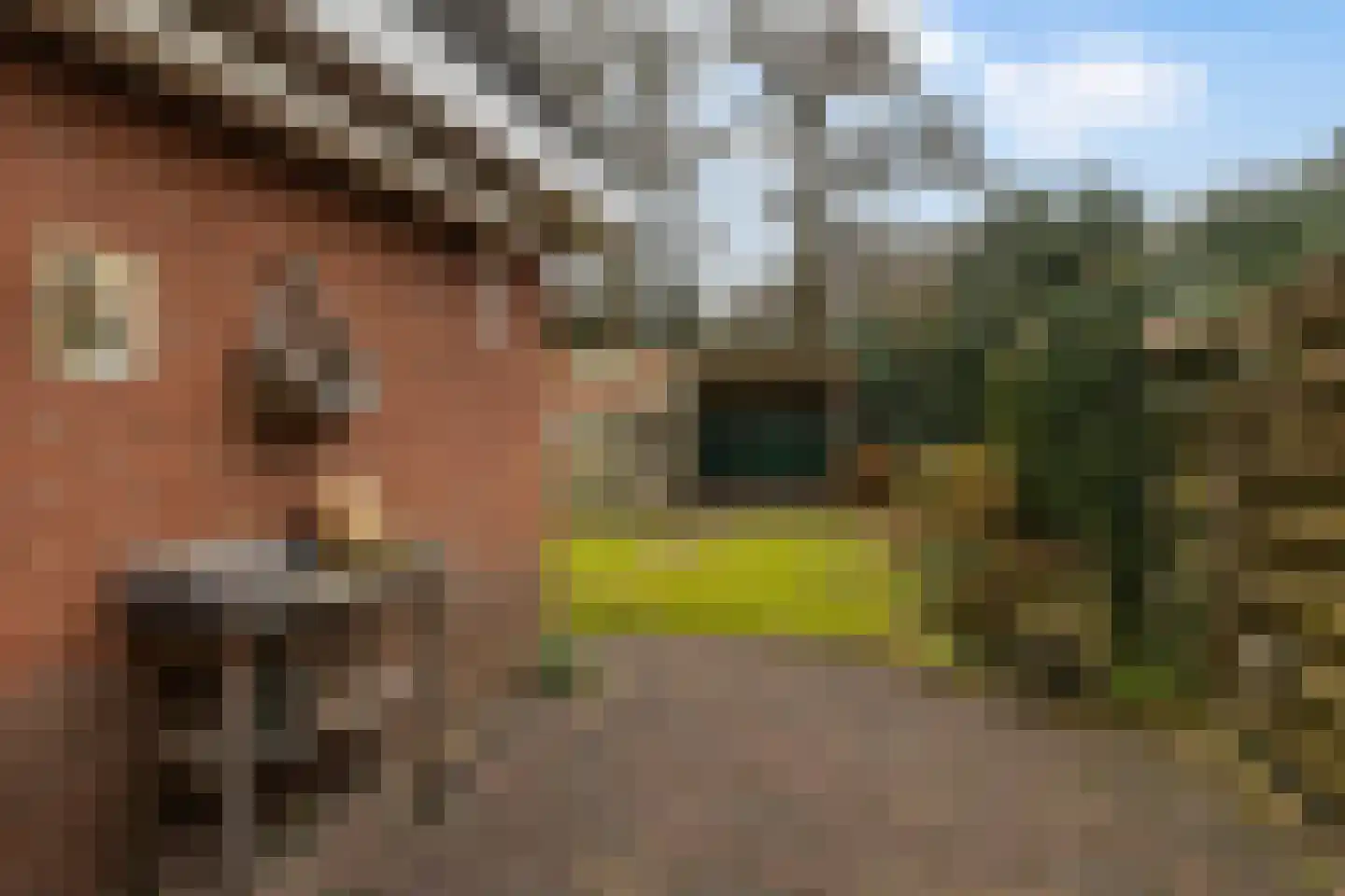 Eliza Posthumastrjitte 10 Gytsjerk thumbnail 19