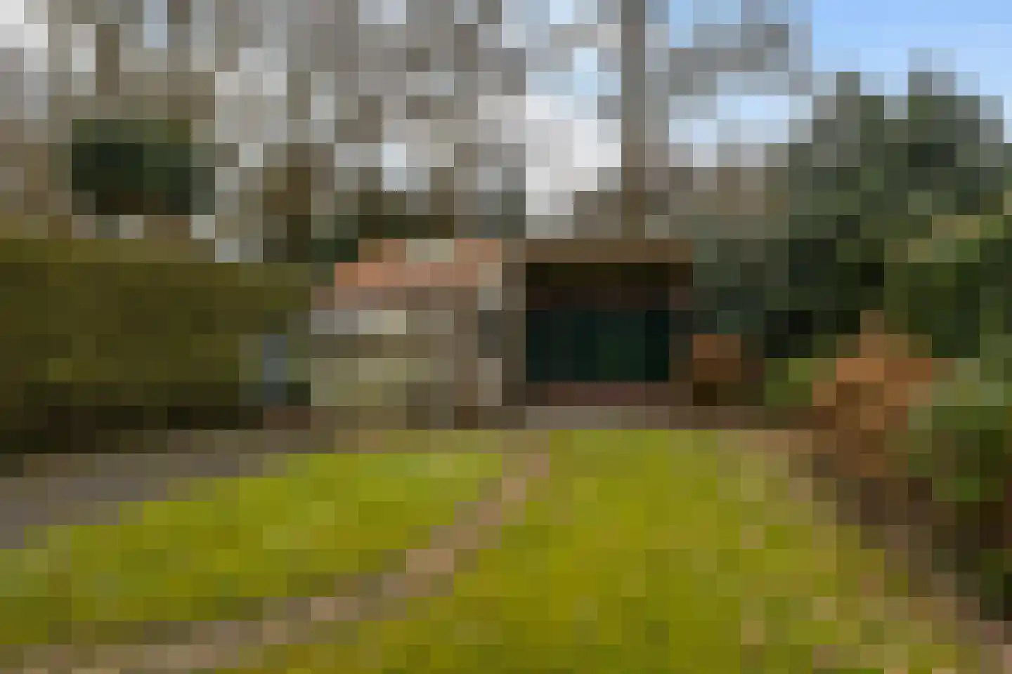 Eliza Posthumastrjitte 10 Gytsjerk thumbnail 20