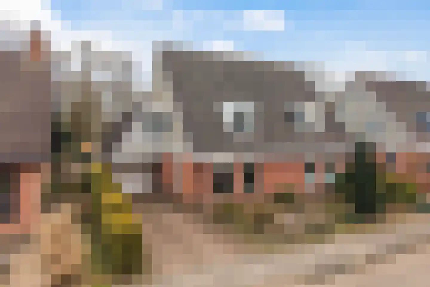 Eliza Posthumastrjitte 10 Gytsjerk thumbnail 40