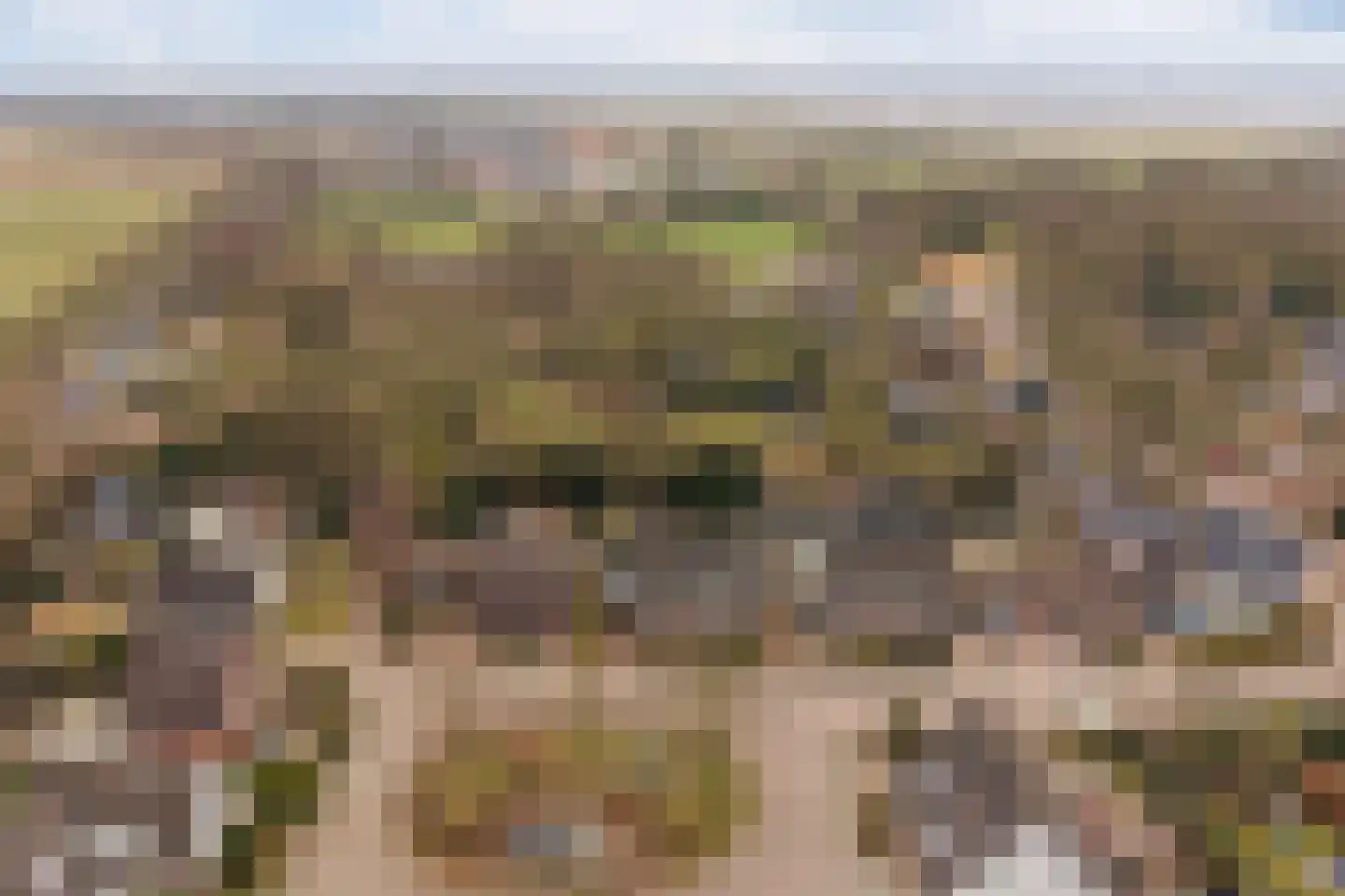 Eliza Posthumastrjitte 10 Gytsjerk thumbnail 41