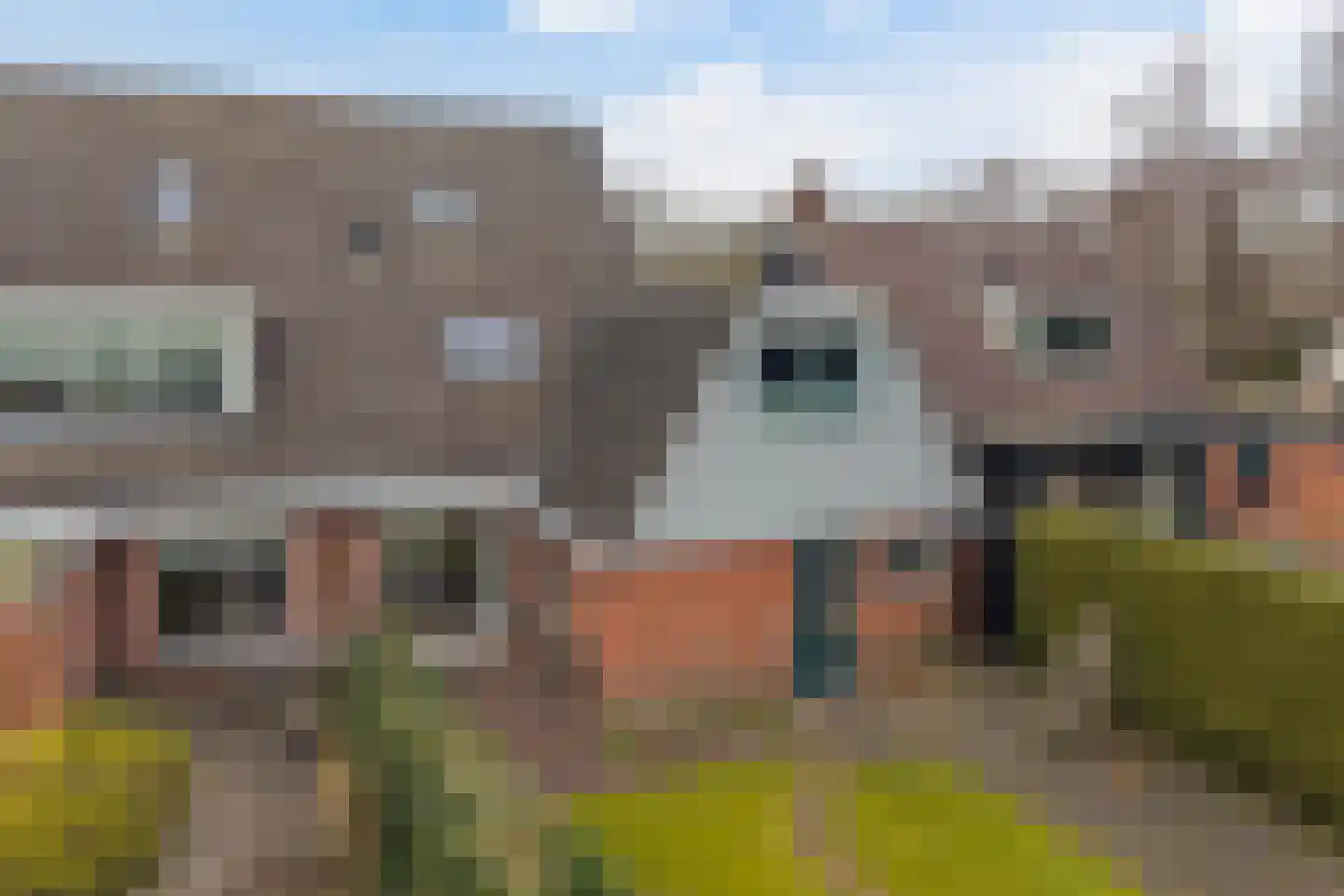 Eliza Posthumastrjitte 10 Gytsjerk thumbnail 42
