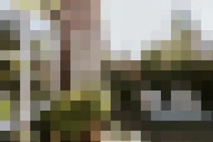 Elizabeth Adriaansestraat 15 Roermond thumbnail 21