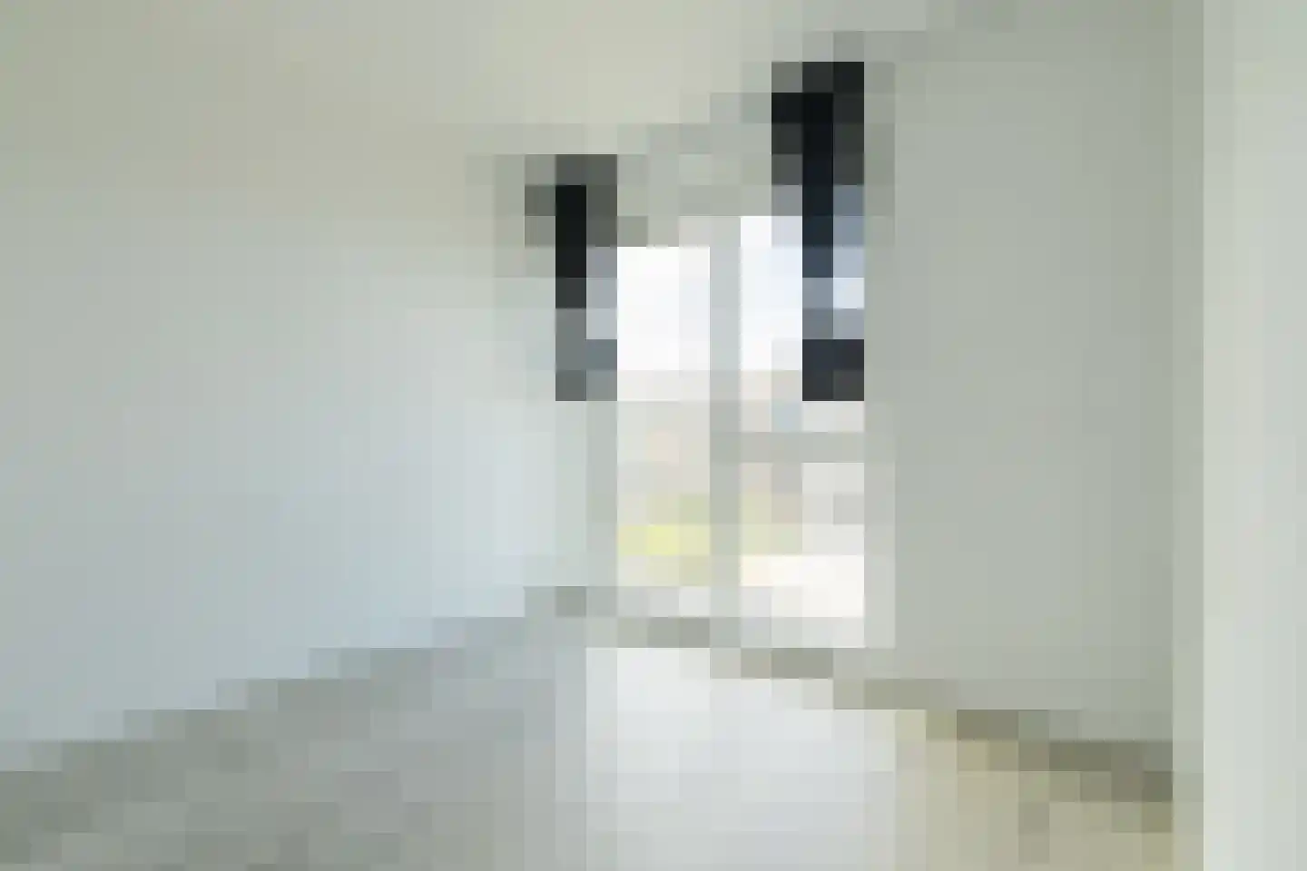 Elizabeth Anscombestraat 23 Almere thumbnail 19