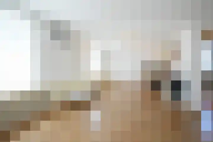 Elkenraderweg 3 Wijlre thumbnail 37