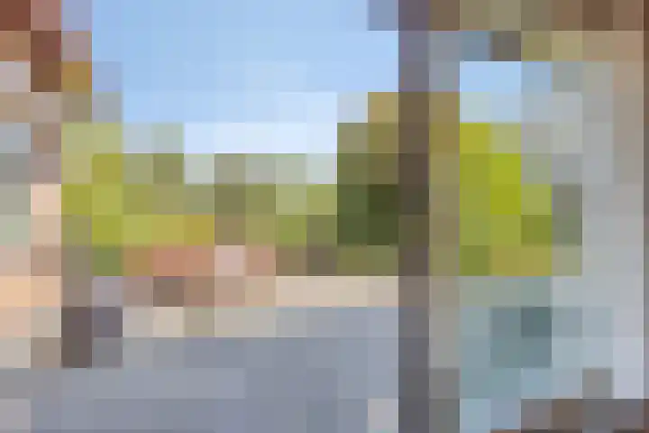 Elkerzeeseweg 3 Scharendijke thumbnail 10