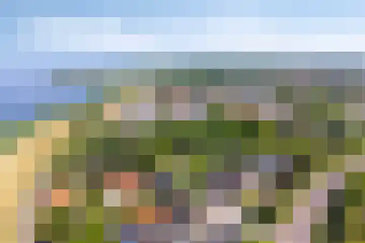 Elkerzeeseweg 3 Scharendijke thumbnail 4
