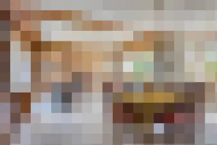 Elkerzeeseweg 3 Scharendijke thumbnail 7