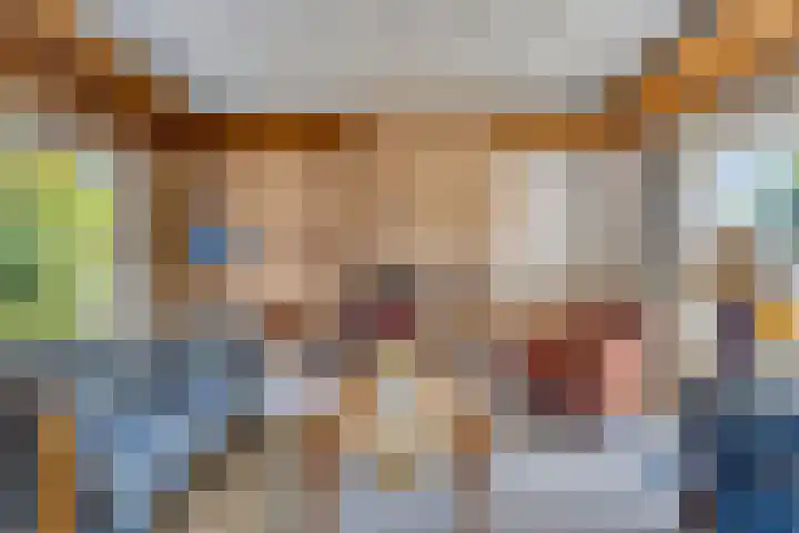 Elkerzeeseweg 3 Scharendijke thumbnail 9
