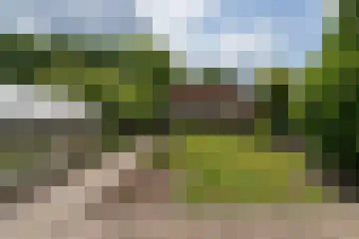 Elkingeslag 1 Emmen thumbnail 26