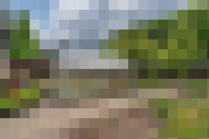 Elkingeslag 1 Emmen thumbnail 27