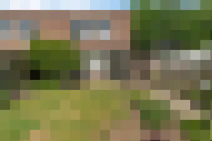 Elkingeslag 1 Emmen thumbnail 29