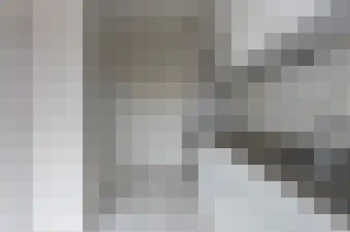 Elkingeslag 3 Emmen thumbnail 13
