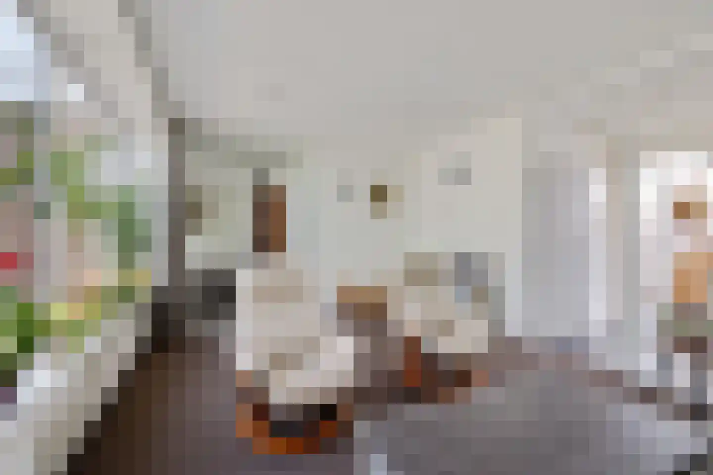 Elkingeslag 36 Emmen thumbnail 16