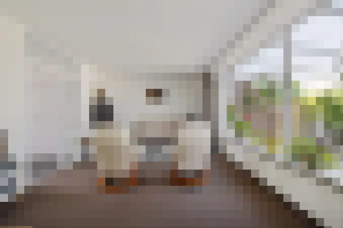 Elkingeslag 36 Emmen thumbnail 17