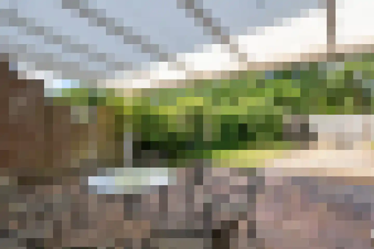 Elkingeslag 36 Emmen thumbnail 34