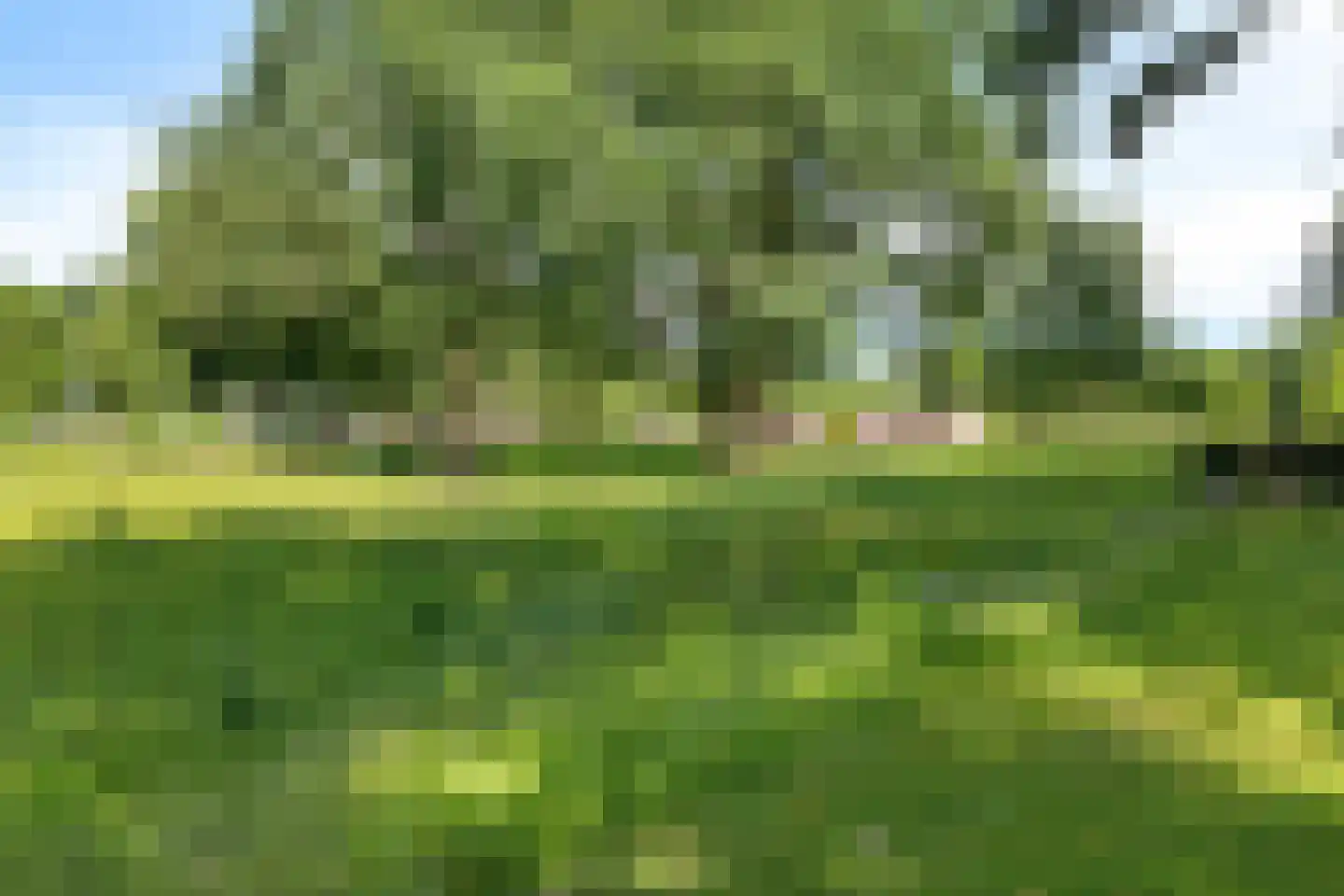 Elkingeslag 36 Emmen thumbnail 38