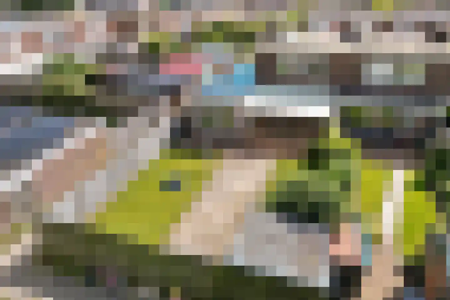 Elkingeslag 36 Emmen thumbnail 42
