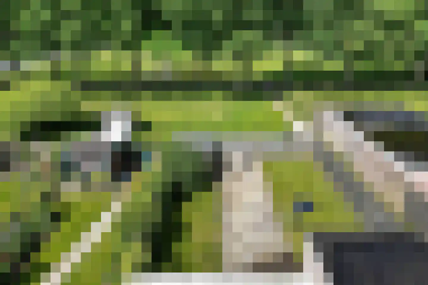 Elkingeslag 36 Emmen thumbnail 43