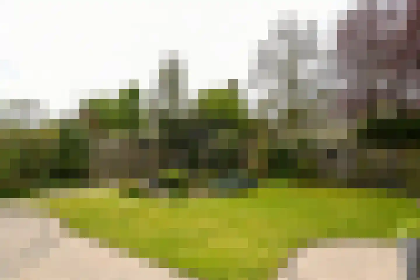 Ella Fitzgeraldlaan 66 Eindhoven thumbnail 30