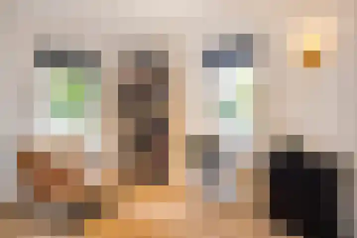 Ella Fitzgeraldlaan 70 Eindhoven thumbnail 11