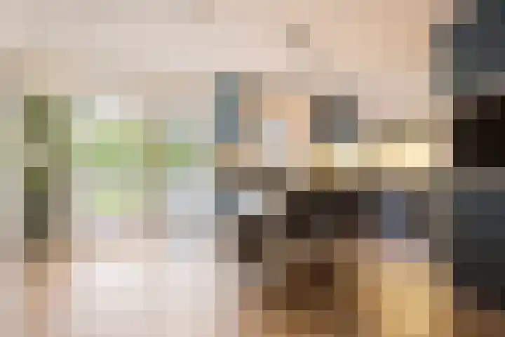 Ella Fitzgeraldlaan 70 Eindhoven thumbnail 15