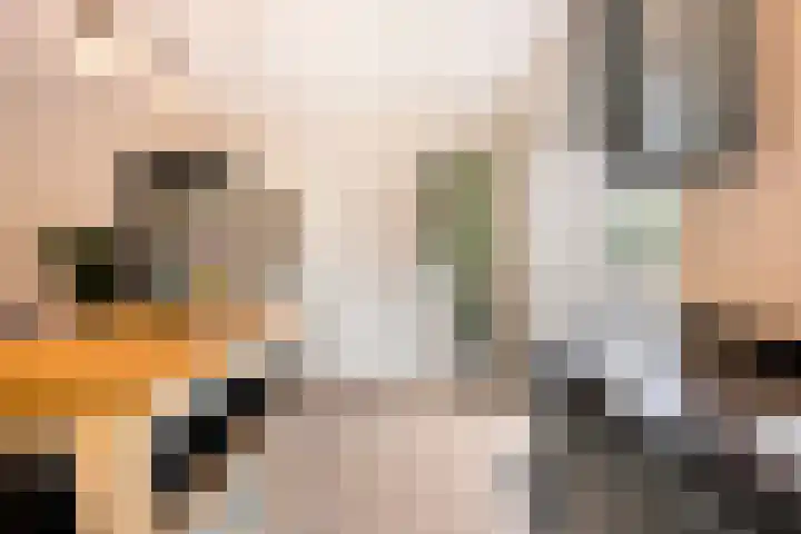 Ella Fitzgeraldlaan 70 Eindhoven thumbnail 18