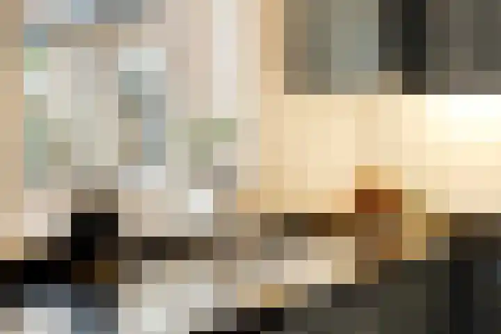 Ella Fitzgeraldlaan 70 Eindhoven thumbnail 22
