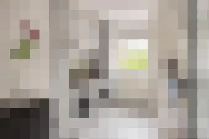 Ella Fitzgeraldlaan 70 Eindhoven thumbnail 26