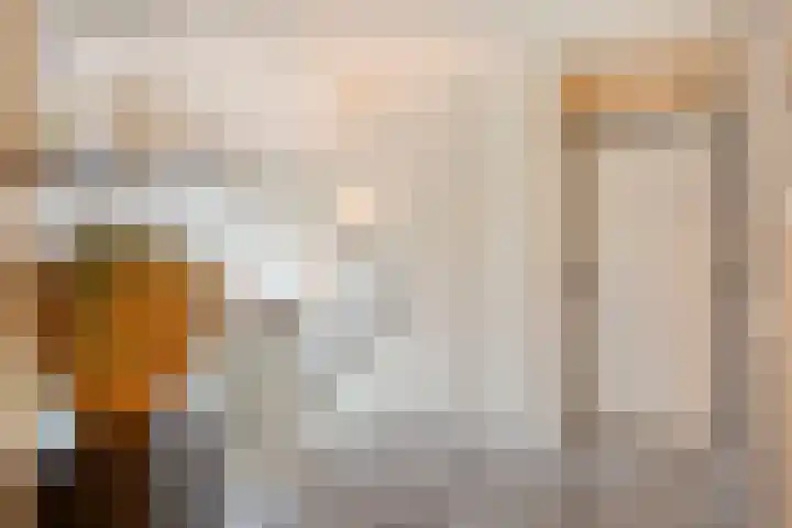 Ella Fitzgeraldlaan 70 Eindhoven thumbnail 28