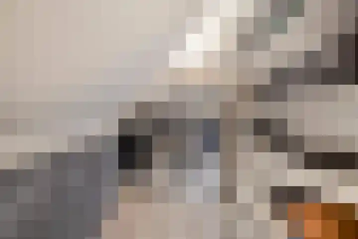 Ella Fitzgeraldlaan 70 Eindhoven thumbnail 32