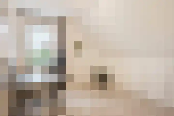 Ella Fitzgeraldlaan 70 Eindhoven thumbnail 33